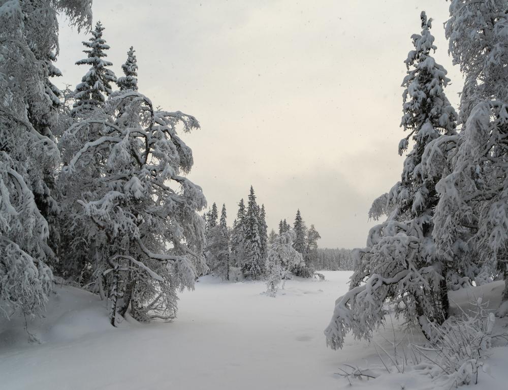 Snowfall from Norway Oslo Nordmarka Katnosa Spålen-Katnosa natureservat