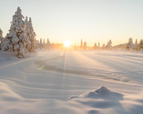 Winter sunset in old forest from Norway Skrim