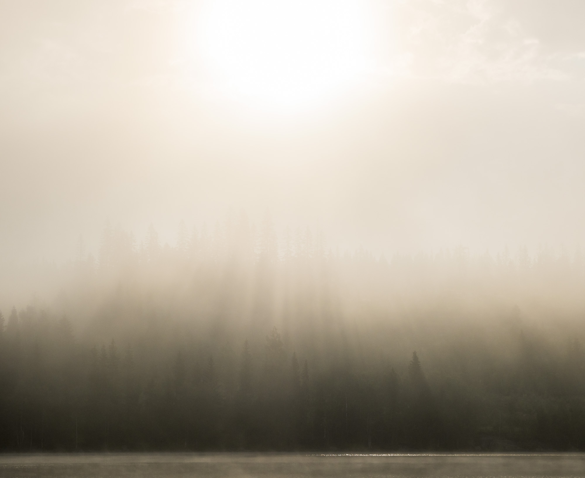 Fog in the forest from Norway Oslo Nordmarka Sandungen