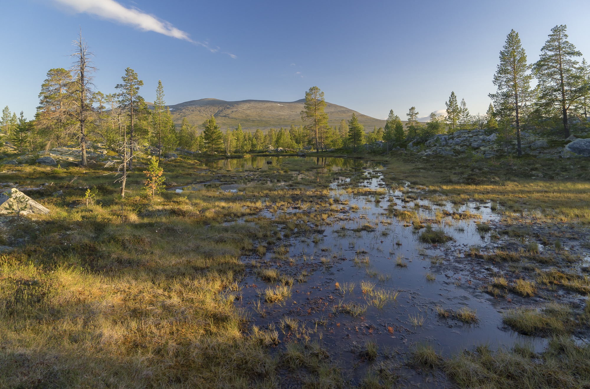 Femunden Landscape from Norway Femunden