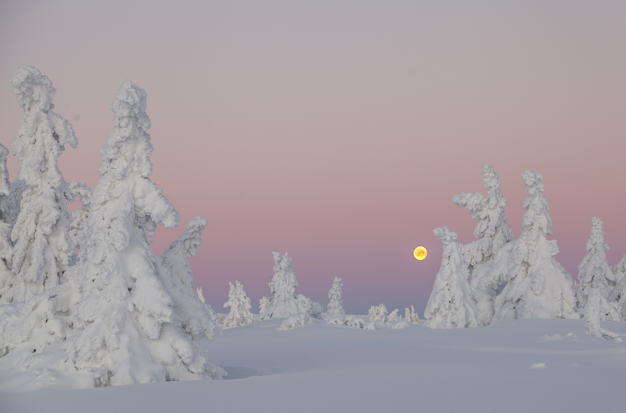 Full moon at winter morning from Norway Telemark Blefjell