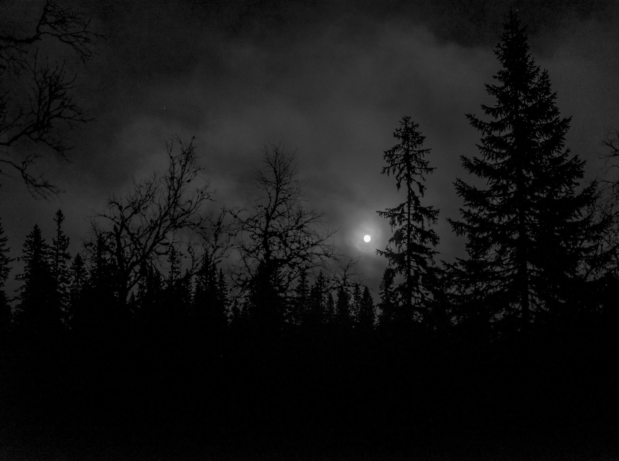 Full moon at Katnosa from Norway Oslo Nordmarka Katnosa